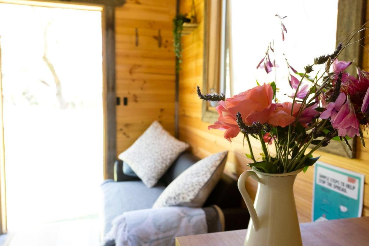 Ardingly Tiny House Βίλα Newham Εξωτερικό φωτογραφία